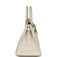 Hermes Birkin 25 Beton Ostrich Gold Hardware Hermes Birkin 25 Beton Ostrich Gold Hardware