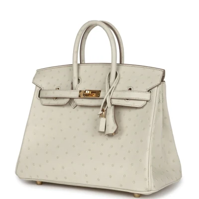 Hermes Birkin 25 Beton Ostrich Gold Hardware Hermes Birkin 25 Beton Ostrich Gold Hardware