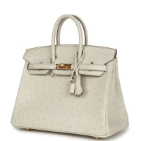 Hermes Birkin 25 Beton Ostrich Gold Hardware Hermes Birkin 25 Beton Ostrich Gold Hardware