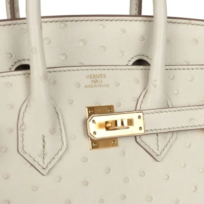 Hermes Birkin 25 Beton Ostrich Gold Hardware Hermes Birkin 25 Beton Ostrich Gold Hardware