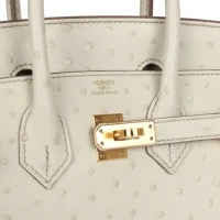 Hermes Birkin 25 Beton Ostrich Gold Hardware Hermes Birkin 25 Beton Ostrich Gold Hardware