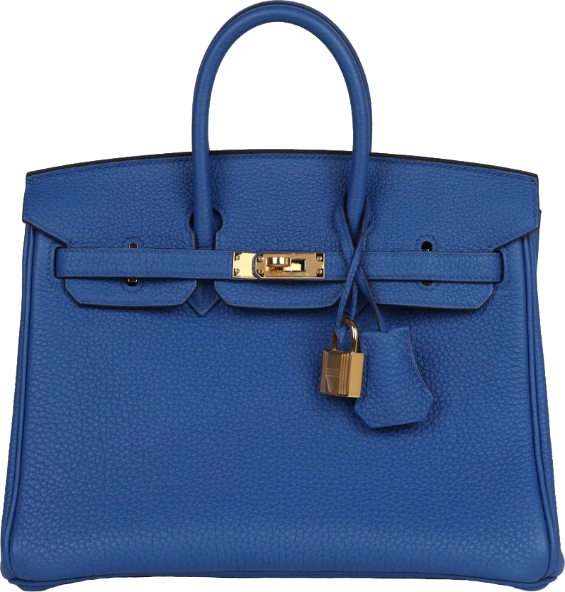 Hermes Birkin 25 Bleu France Togo Gold Hardware