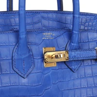Hermes Birkin 25 Bleu Royal Matte Porosus Crocodile Gold Hardware Hermes Birkin 25 Bleu Royal Matte Porosus Crocodile Gold Hardware