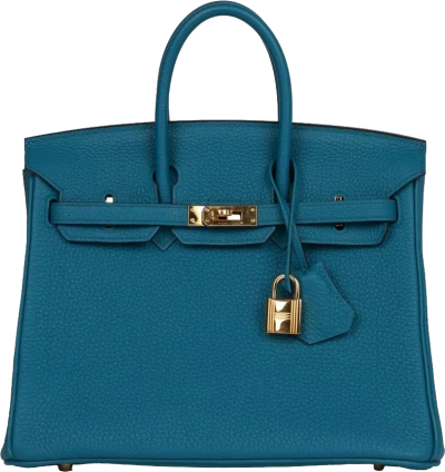 Hermes Birkin 25 Colvert Togo Gold Hardware Hermes Birkin 25 Colvert Togo Gold Hardware