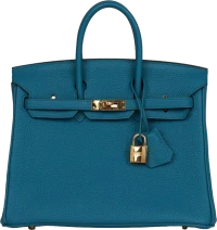 Hermes Birkin 25 Colvert Togo Gold Hardware Hermes Birkin 25 Colvert Togo Gold Hardware