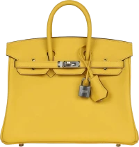 Hermes Birkin 25 Jaune de Naples Swift Palladium Hardware Hermes Birkin 25 Jaune de Naples Swift Palladium Hardware