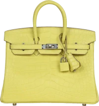 Hermes Birkin 25 Lime Matte Alligator Palladium Hardware Hermes Birkin 25 Lime Matte Alligator Palladium Hardware
