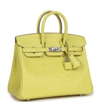 Hermes Birkin 25 Lime Matte Alligator Palladium Hardware Hermes Birkin 25 Lime Matte Alligator Palladium Hardware