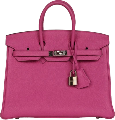 Hermes Birkin 25 Magnolia Togo Palladium Hardware Hermes Birkin 25 Magnolia Togo Palladium Hardware