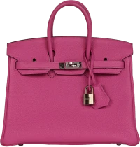 Hermes Birkin 25 Magnolia Togo Palladium Hardware Hermes Birkin 25 Magnolia Togo Palladium Hardware