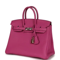 Hermes Birkin 25 Magnolia Togo Palladium Hardware Hermes Birkin 25 Magnolia Togo Palladium Hardware
