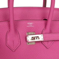 Hermes Birkin 25 Magnolia Togo Palladium Hardware Hermes Birkin 25 Magnolia Togo Palladium Hardware