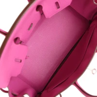 Hermes Birkin 25 Magnolia Togo Palladium Hardware Hermes Birkin 25 Magnolia Togo Palladium Hardware