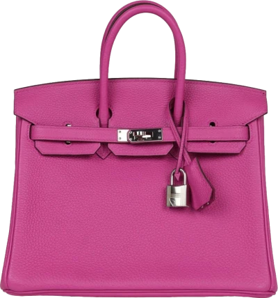 Hermes Birkin 25 Magnolia Togo Palladium Hardware Hermes Birkin 25 Magnolia Togo Palladium Hardware