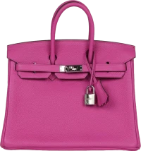 Hermes Birkin 25 Magnolia Togo Palladium Hardware Hermes Birkin 25 Magnolia Togo Palladium Hardware