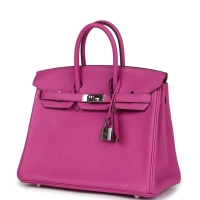 Hermes Birkin 25 Magnolia Togo Palladium Hardware Hermes Birkin 25 Magnolia Togo Palladium Hardware