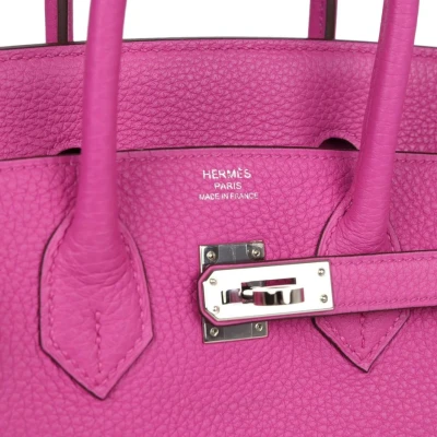 Hermes Birkin 25 Magnolia Togo Palladium Hardware Hermes Birkin 25 Magnolia Togo Palladium Hardware