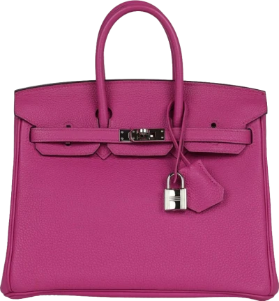 Hermes Birkin 25 Magnolia Togo Palladium Hardware Hermes Birkin 25 Magnolia Togo Palladium Hardware