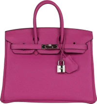 Hermes Birkin 25 Magnolia Togo Palladium Hardware Hermes Birkin 25 Magnolia Togo Palladium Hardware