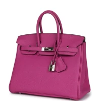 Hermes Birkin 25 Magnolia Togo Palladium Hardware Hermes Birkin 25 Magnolia Togo Palladium Hardware