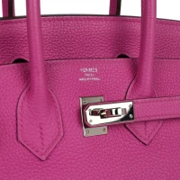 Hermes Birkin 25 Magnolia Togo Palladium Hardware Hermes Birkin 25 Magnolia Togo Palladium Hardware