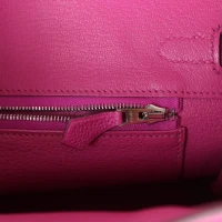 Hermes Birkin 25 Magnolia Togo Palladium Hardware Hermes Birkin 25 Magnolia Togo Palladium Hardware