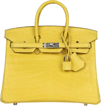 Hermes Birkin 25 Mimosa Matte Niloticus Crocodile Palladium Hardware Hermes Birkin 25 Mimosa Matte Niloticus Crocodile Palladium Hardware