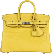 Hermes Birkin 25 Mimosa Matte Niloticus Crocodile Palladium Hardware Hermes Birkin 25 Mimosa Matte Niloticus Crocodile Palladium Hardware