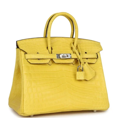 Hermes Birkin 25 Mimosa Matte Niloticus Crocodile Palladium Hardware Hermes Birkin 25 Mimosa Matte Niloticus Crocodile Palladium Hardware