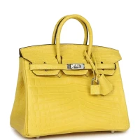 Hermes Birkin 25 Mimosa Matte Niloticus Crocodile Palladium Hardware Hermes Birkin 25 Mimosa Matte Niloticus Crocodile Palladium Hardware
