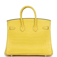 Hermes Birkin 25 Mimosa Matte Niloticus Crocodile Palladium Hardware Hermes Birkin 25 Mimosa Matte Niloticus Crocodile Palladium Hardware