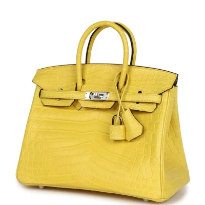 Hermes Birkin 25 Mimosa Matte Niloticus Crocodile Palladium Hardware Hermes Birkin 25 Mimosa Matte Niloticus Crocodile Palladium Hardware