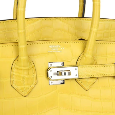 Hermes Birkin 25 Mimosa Matte Niloticus Crocodile Palladium Hardware Hermes Birkin 25 Mimosa Matte Niloticus Crocodile Palladium Hardware