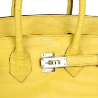 Hermes Birkin 25 Mimosa Matte Niloticus Crocodile Palladium Hardware Hermes Birkin 25 Mimosa Matte Niloticus Crocodile Palladium Hardware
