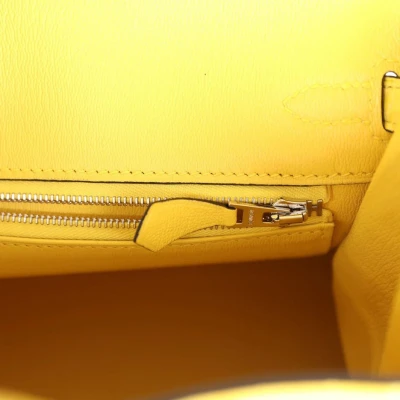Hermes Birkin 25 Mimosa Matte Niloticus Crocodile Palladium Hardware Hermes Birkin 25 Mimosa Matte Niloticus Crocodile Palladium Hardware