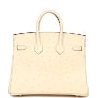 Hermes Birkin 25 Nata Ostrich Gold Hardware