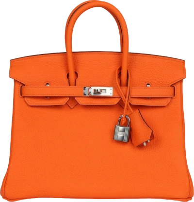 Hermes Birkin 25 Orange Minium Togo Palladium Hardware Hermes Birkin 25 Orange Minium Togo Palladium Hardware