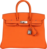 Hermes Birkin 25 Orange Minium Togo Palladium Hardware Hermes Birkin 25 Orange Minium Togo Palladium Hardware