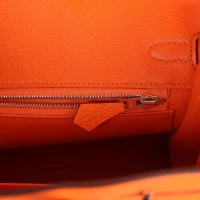 Hermes Birkin 25 Orange Minium Togo Palladium Hardware Hermes Birkin 25 Orange Minium Togo Palladium Hardware