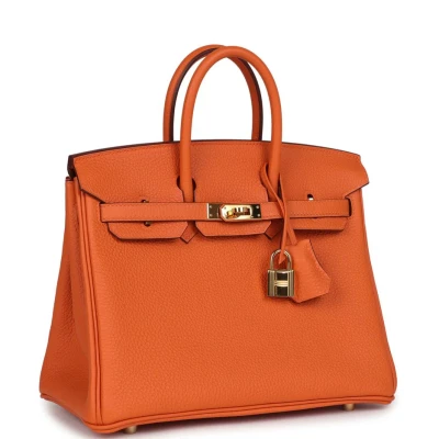 Hermes Birkin 25 Orange Togo Gold Hardware