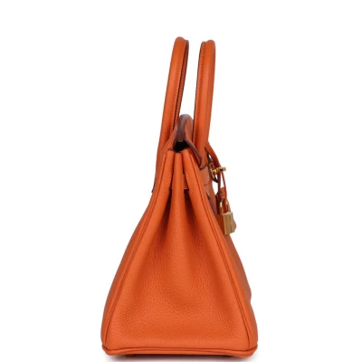 Hermes Birkin 25 Orange Togo Gold Hardware
