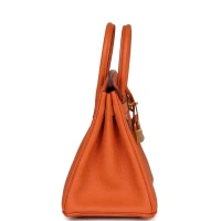 Hermes Birkin 25 Orange Togo Gold Hardware