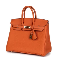 Hermes Birkin 25 Orange Togo Gold Hardware