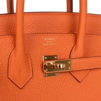 Hermes Birkin 25 Orange Togo Gold Hardware