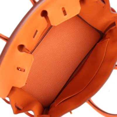 Hermes Birkin 25 Orange Togo Gold Hardware