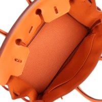 Hermes Birkin 25 Orange Togo Gold Hardware