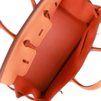 Hermes Birkin 25 Orange Togo Palladium Hardware