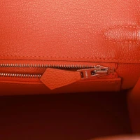 Hermes Birkin 25 Orange Togo Palladium Hardware