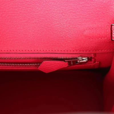 Hermes Birkin 25 Rose Extreme Varanus Niloticus Lizard Palladium Hardware