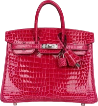 Hermes Birkin 25 Rose Mexico Shiny Porosus Crocodile Palladium Hardware Hermes Birkin 25 Rose Mexico Shiny Porosus Crocodile Palladium Hardware